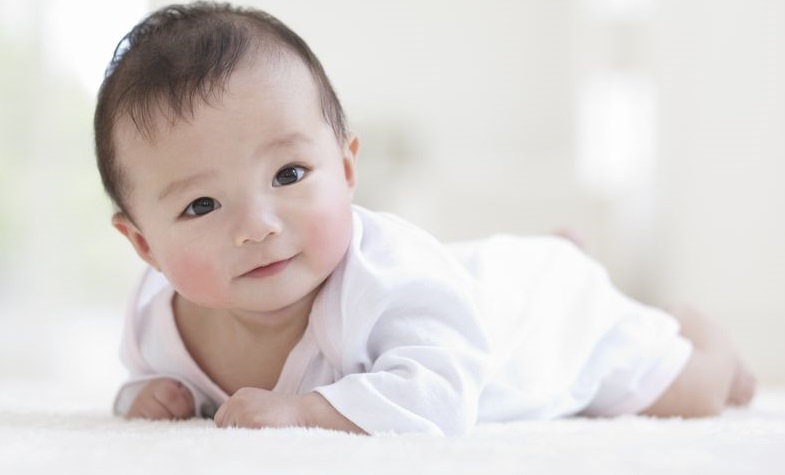 ãç¹å¥é¤å­ç¸çµãã®ç»åæ¤ç´¢çµæ